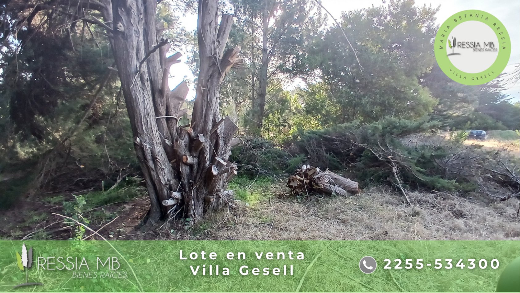 Lote en venta - unifamiliar 606m2 - BARRIO LOS GALGOS - Villa Gesell