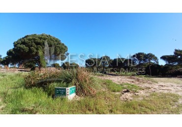 Loteo "Tierra de Mar" - Colonia Marina  - Lotes desde 920 m² | Escriturables | A 350 mts del mar